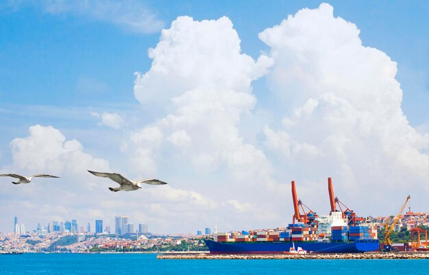 2025跨境电商设计新趋势:AI工具+短视频营销实战跨境代付 2025跨境电商设计新趋势:AI工具+短视频营销实战跨境代付